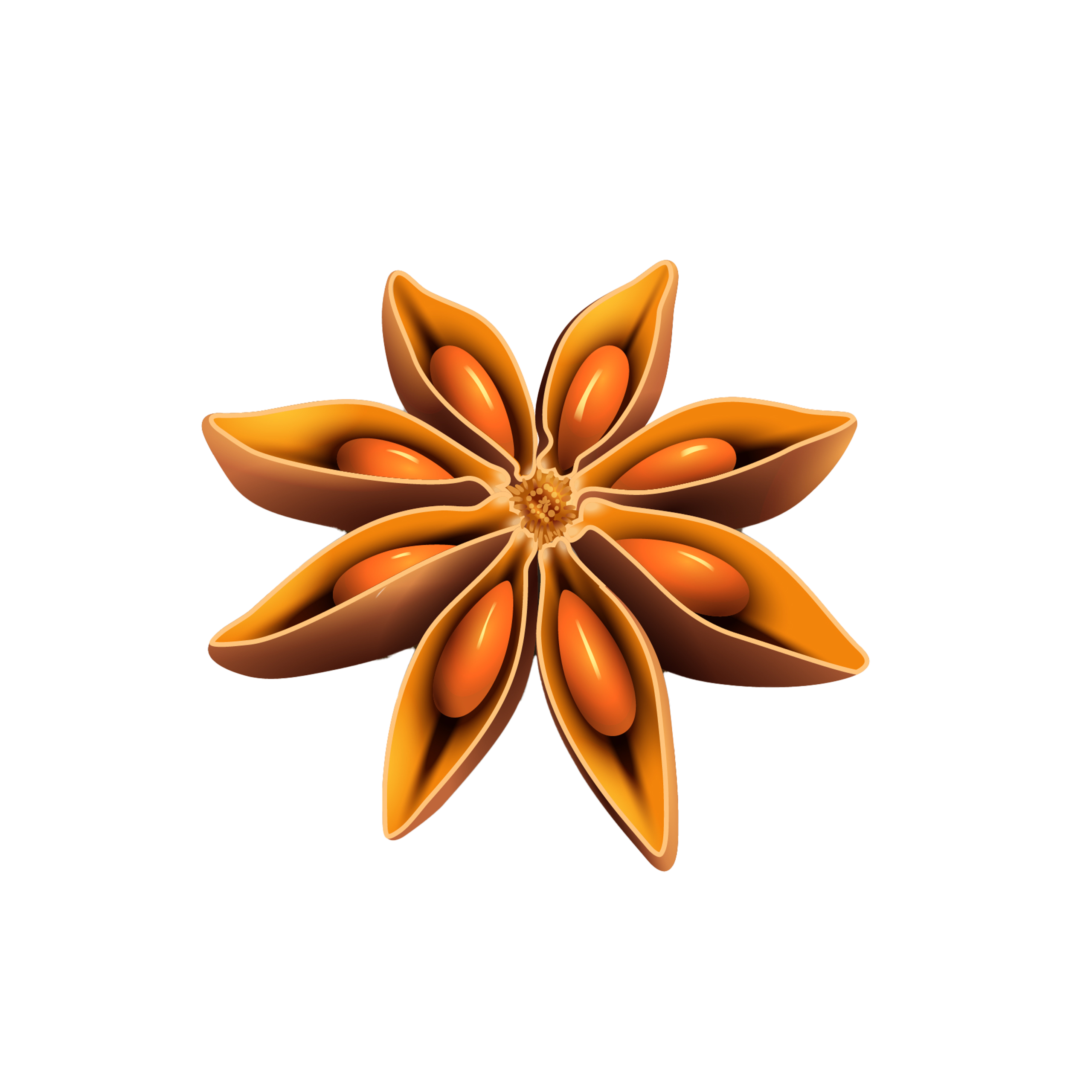 Hoa hồi